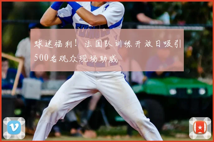 球迷福利！法国队训练开放日吸引500名观众现场助威