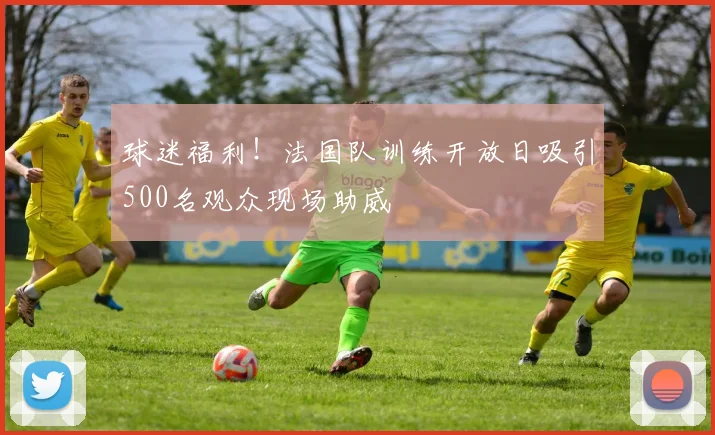 球迷福利！法国队训练开放日吸引500名观众现场助威